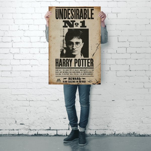 Harry Potter Poster - Der unerwünschte Nr.1