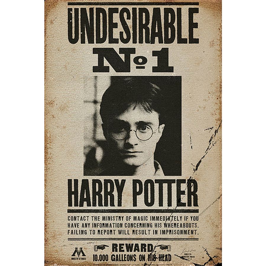 Harry Potter Poster - Der unerwünschte Nr.1